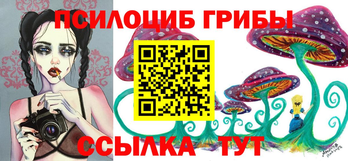 магазин продажи наркотиков  Вход с VPN  Шатура  Псилоцибиновые грибы Psilocybe 