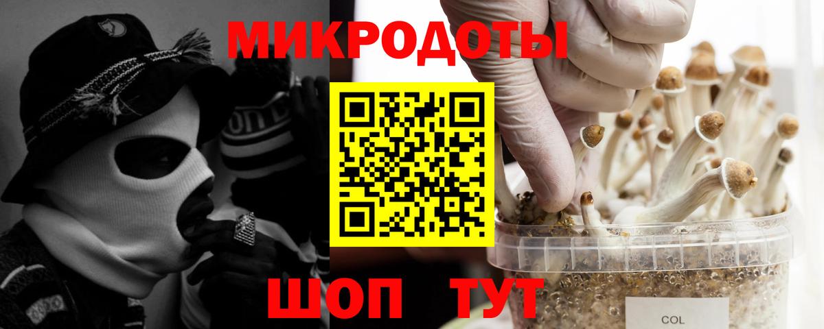 Псилоцибиновые грибы прущие грибы Шатура